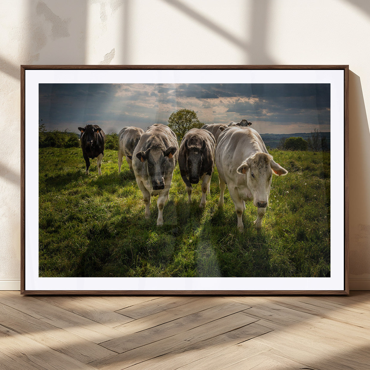67277447-MGV-CV-36X24-Grazing Cattle Herd Pasture Green Field Livestock Natural Farm Animals Rural Life Outdoor Wall Art Canvas Print