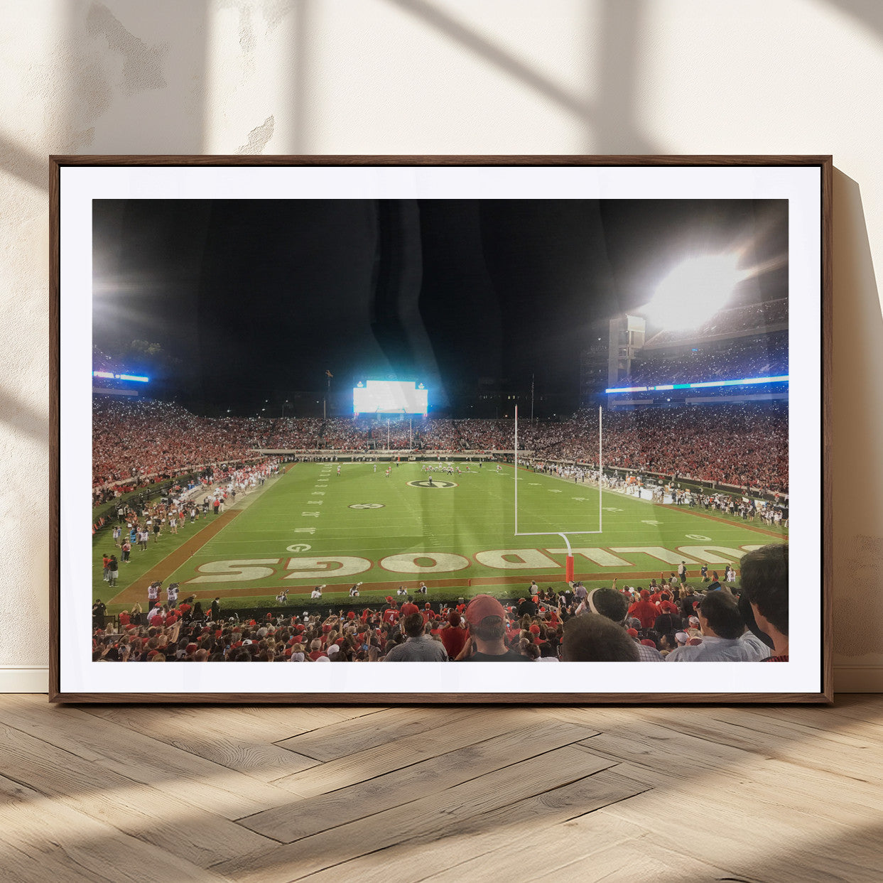 Dooley Stadium Wall Art Print, Sports Arena Canvas Wall Art, Panoramic Stadium Canvas Print, Modern Athletic Field Art Printing