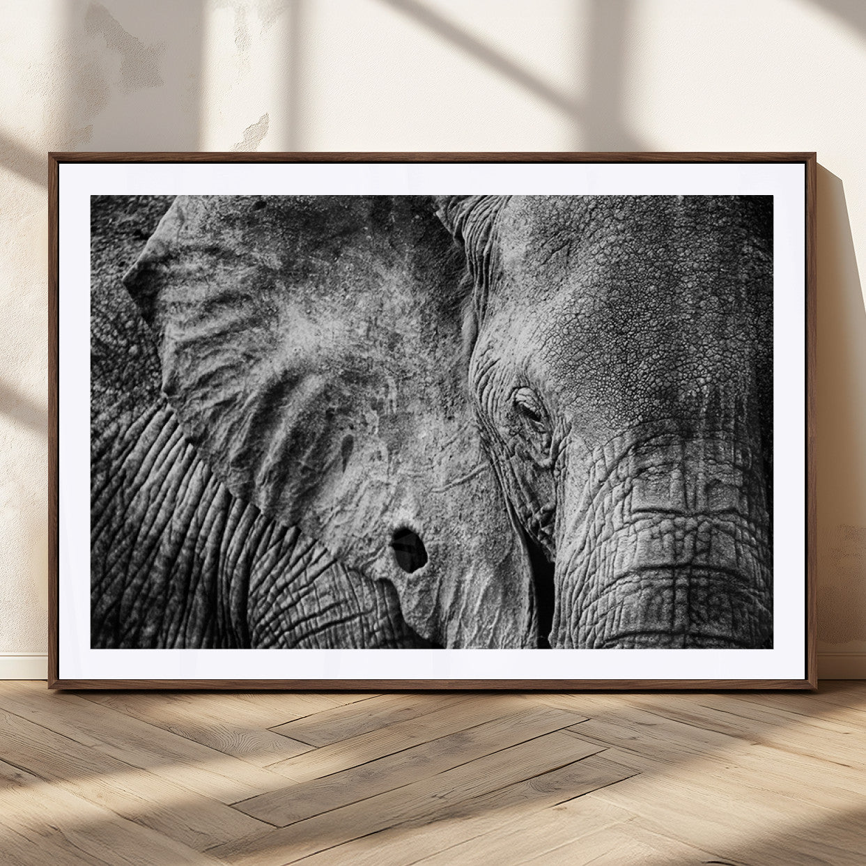 MGC-FP-36x24 - Wild Old Elephant Wall Art Canvas Print