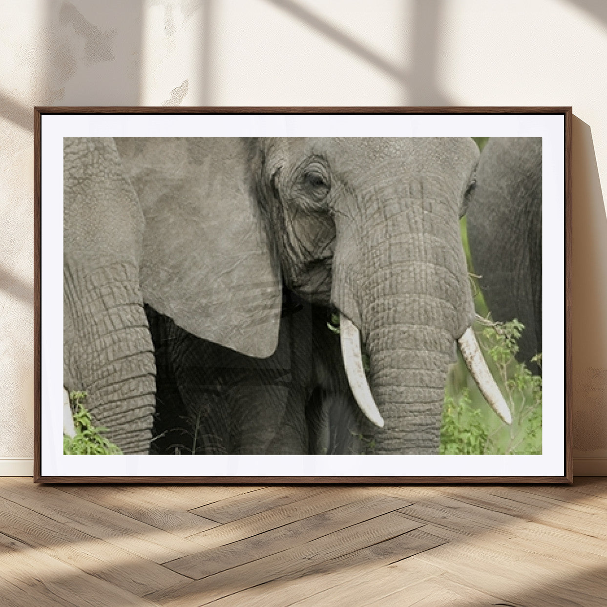 MGC-FP-36x24 - Wild Elephant Wall Art Canvas Print