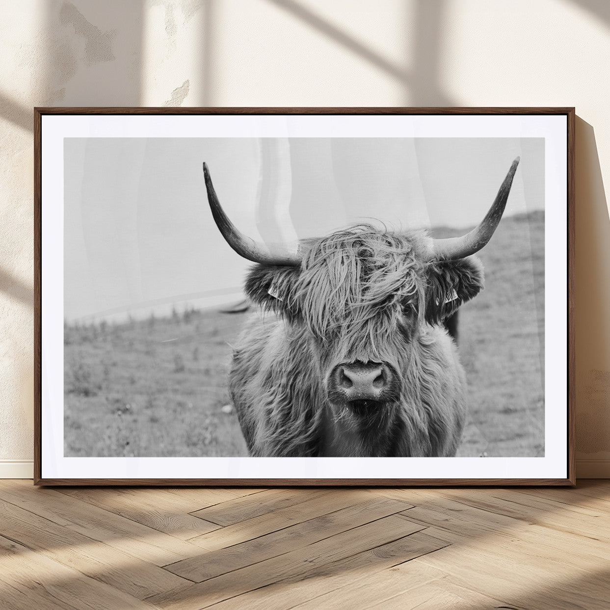MGC-FP-36x24 - Newfoundland Cow Art Wall Art, Black White Cow Art Wall Art Canvas Print