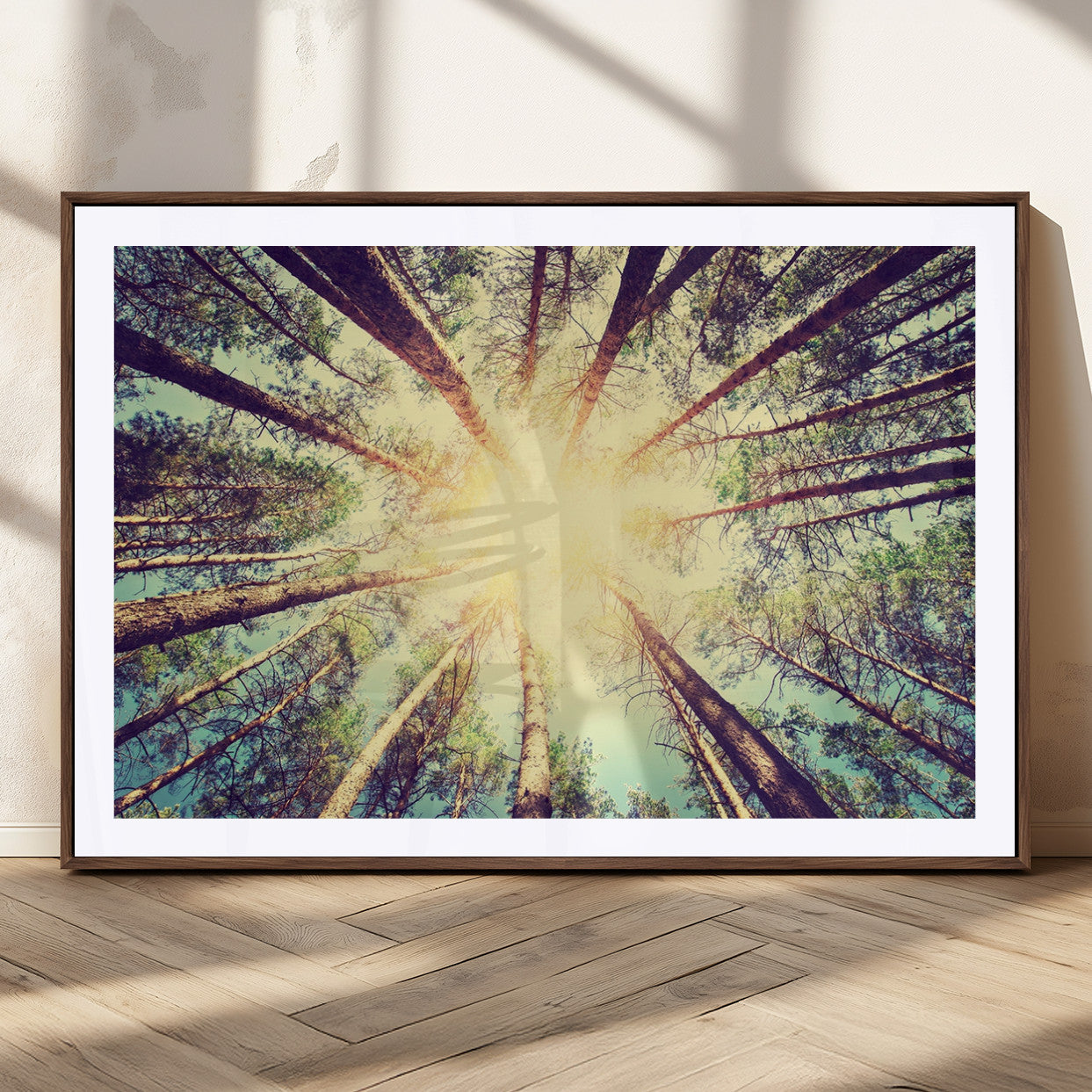 89611-MGC-FP-36x24_Walnut-Tree and Sunshine Canvas Print