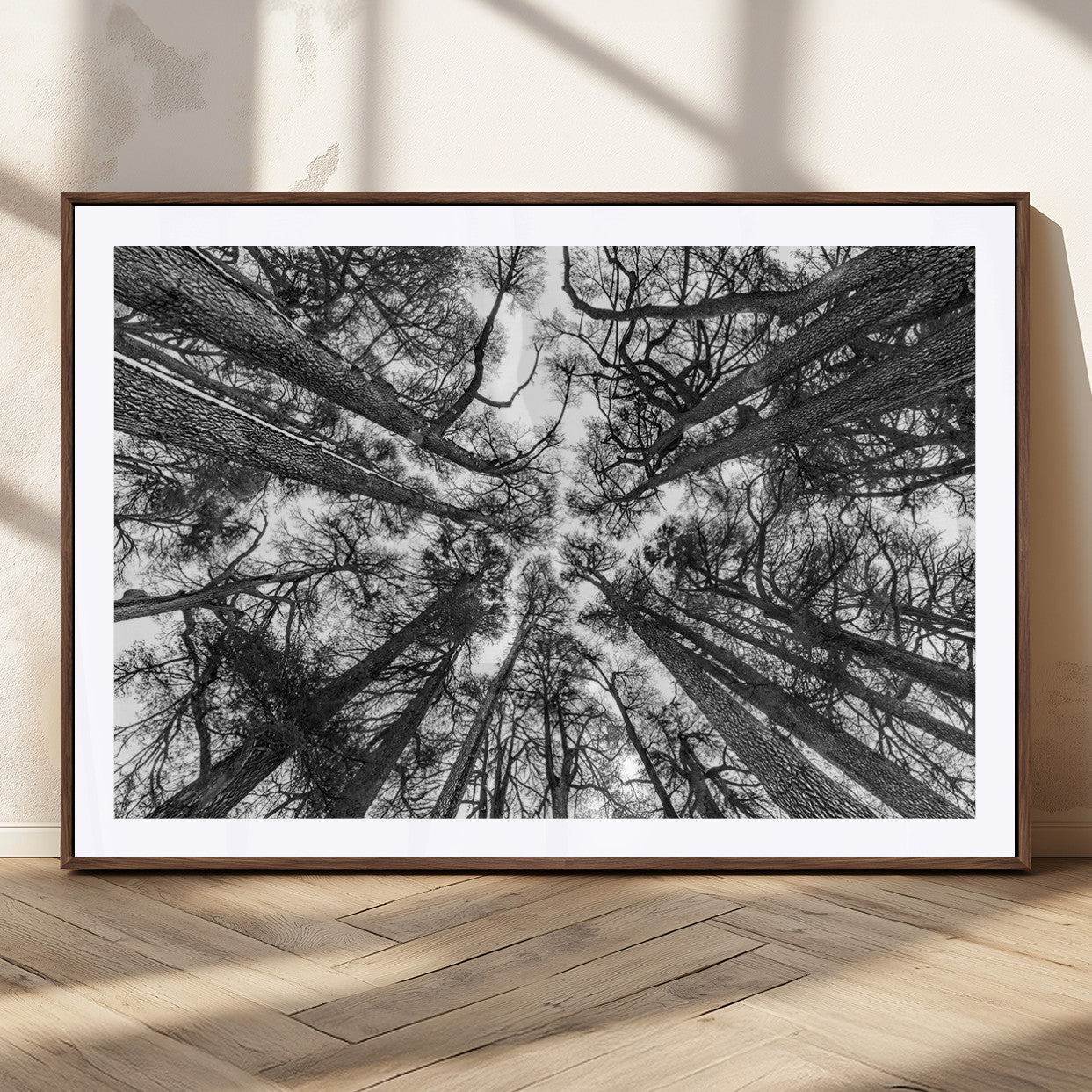 33934-MGC-FP-36x24_Walnut-Trees Contemporary Art Canvas Print