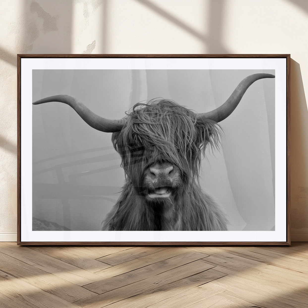 MGC-FP-36x24 - Texas Cow Wall Art Canvas, Texas Longhorn Cattle Canvas Print