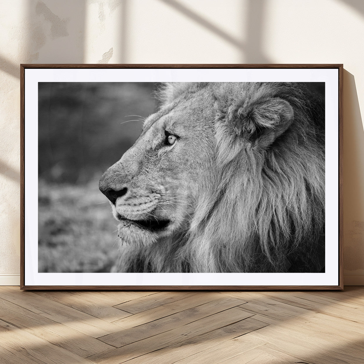 MGC-FP-36x24 - African Lion Wall Art Canvas Print