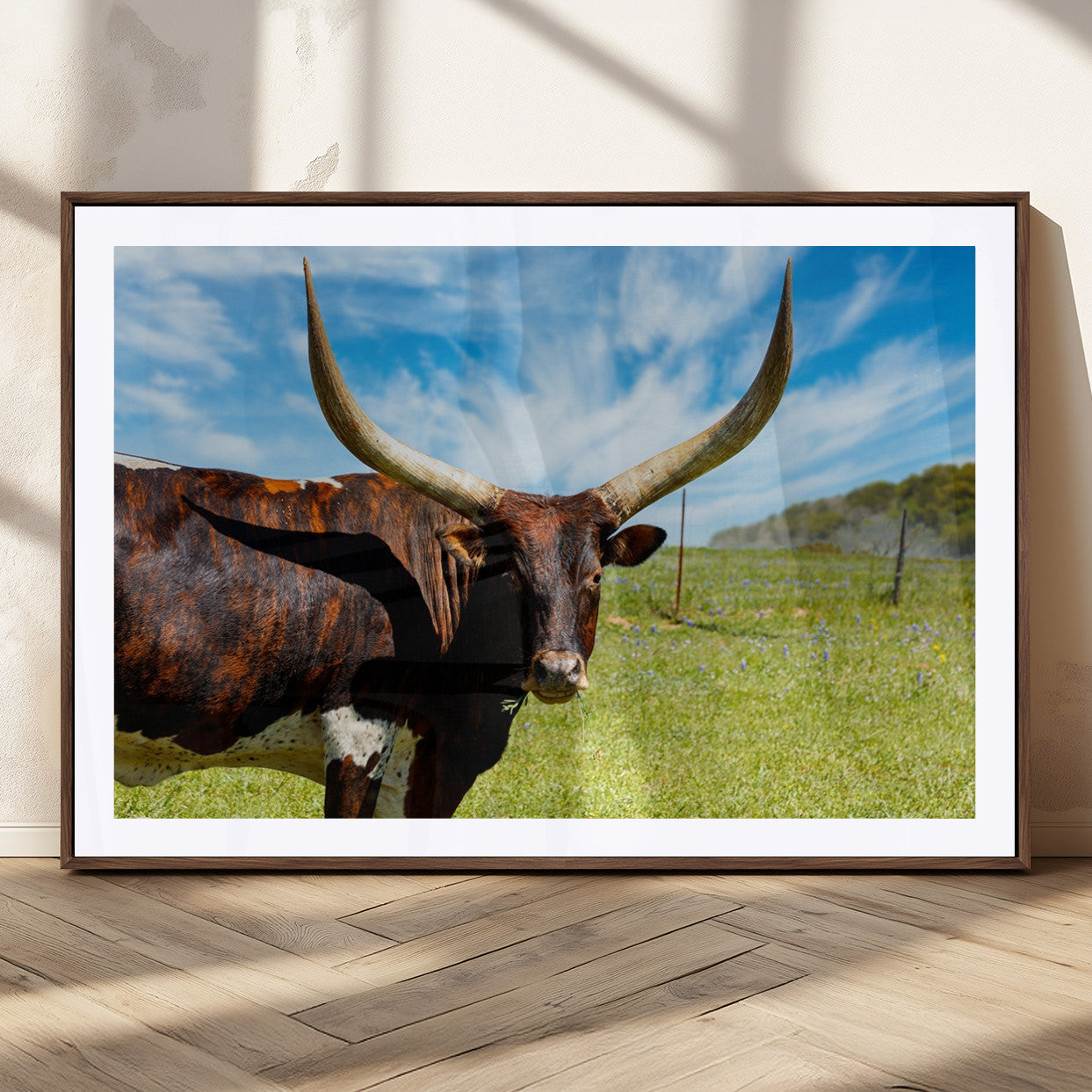 MGC-FP-36x24 - Longhorn and Cow Wall Art, Country Cow Wall Decor Canvas Print