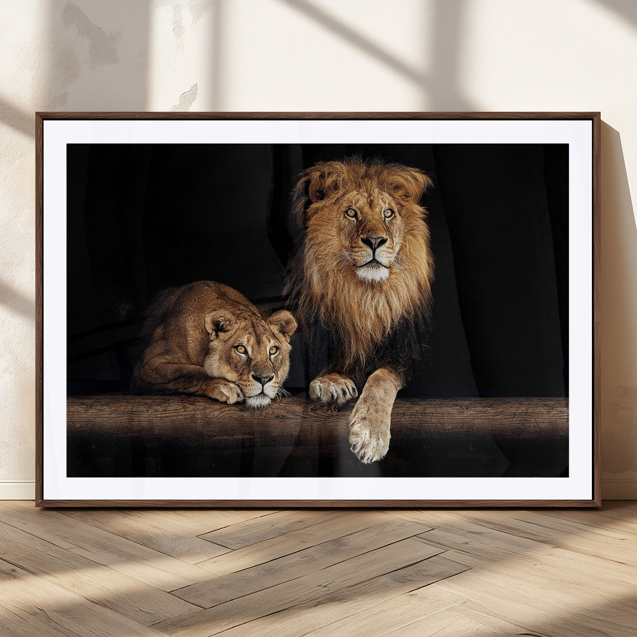 MGC-FP-36x24 - Lion Canvas Wall Art Animal Print