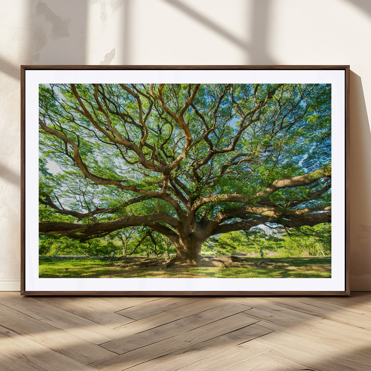 MGC-FP-36x24 - Angel Oak Tree Wall Art | Oak Canvas Print | Multi Panel Landscape Wall Art | Ready to Hang Wall Art