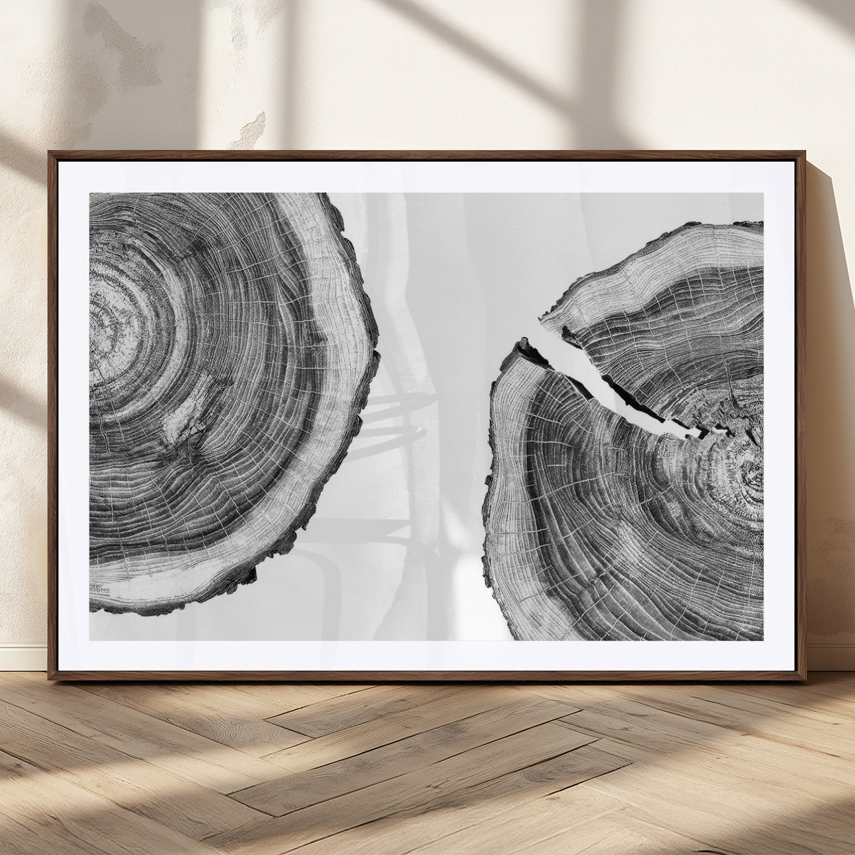 MGC-FP-36x24 - Abstract Large Tree Rings – Minimalist Black and White Wood Art | Triptych Canvas, Modern Wall Decor