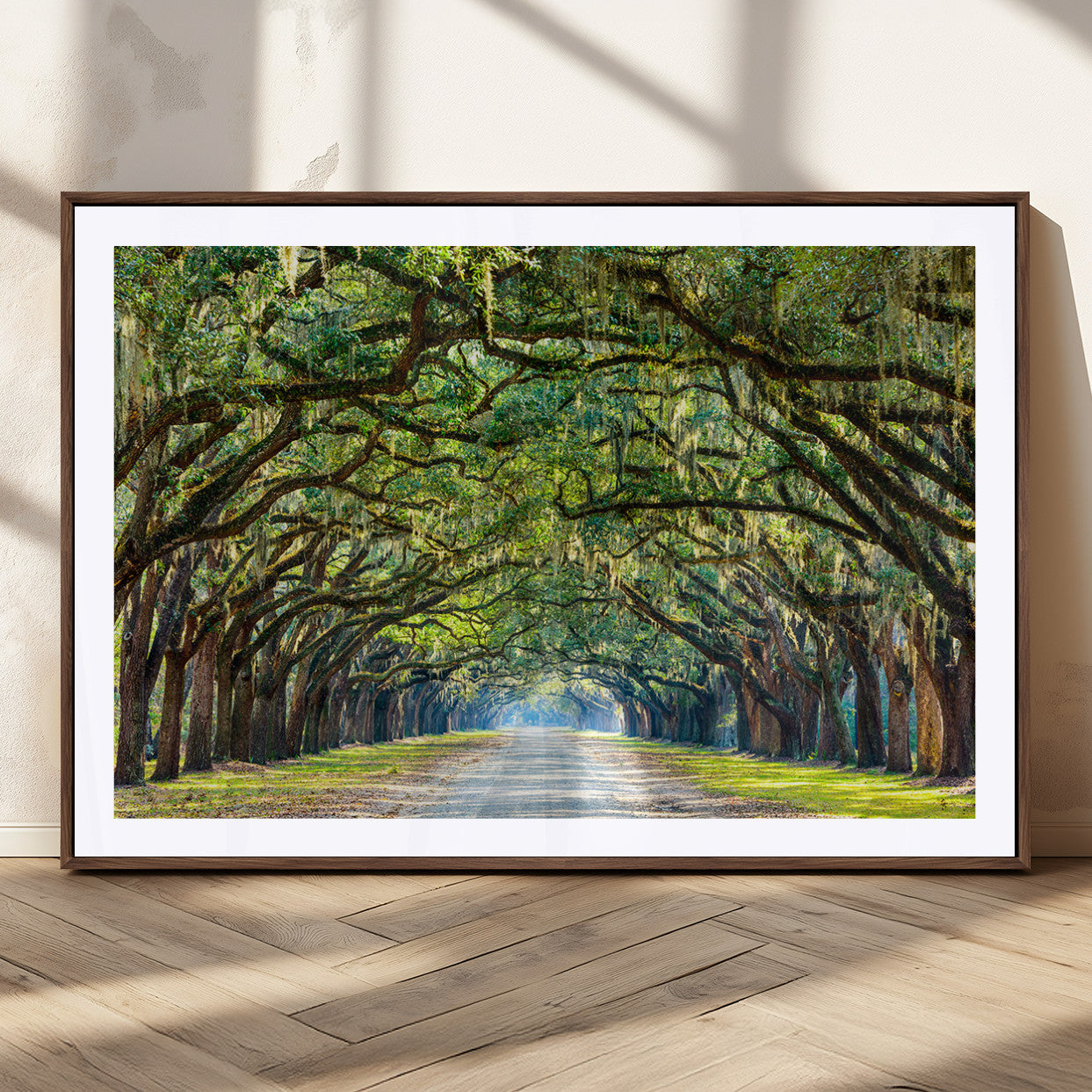 MGC-FP-36x24 - Wormsloe State Plantation Driveway Wall Art Canvas Print