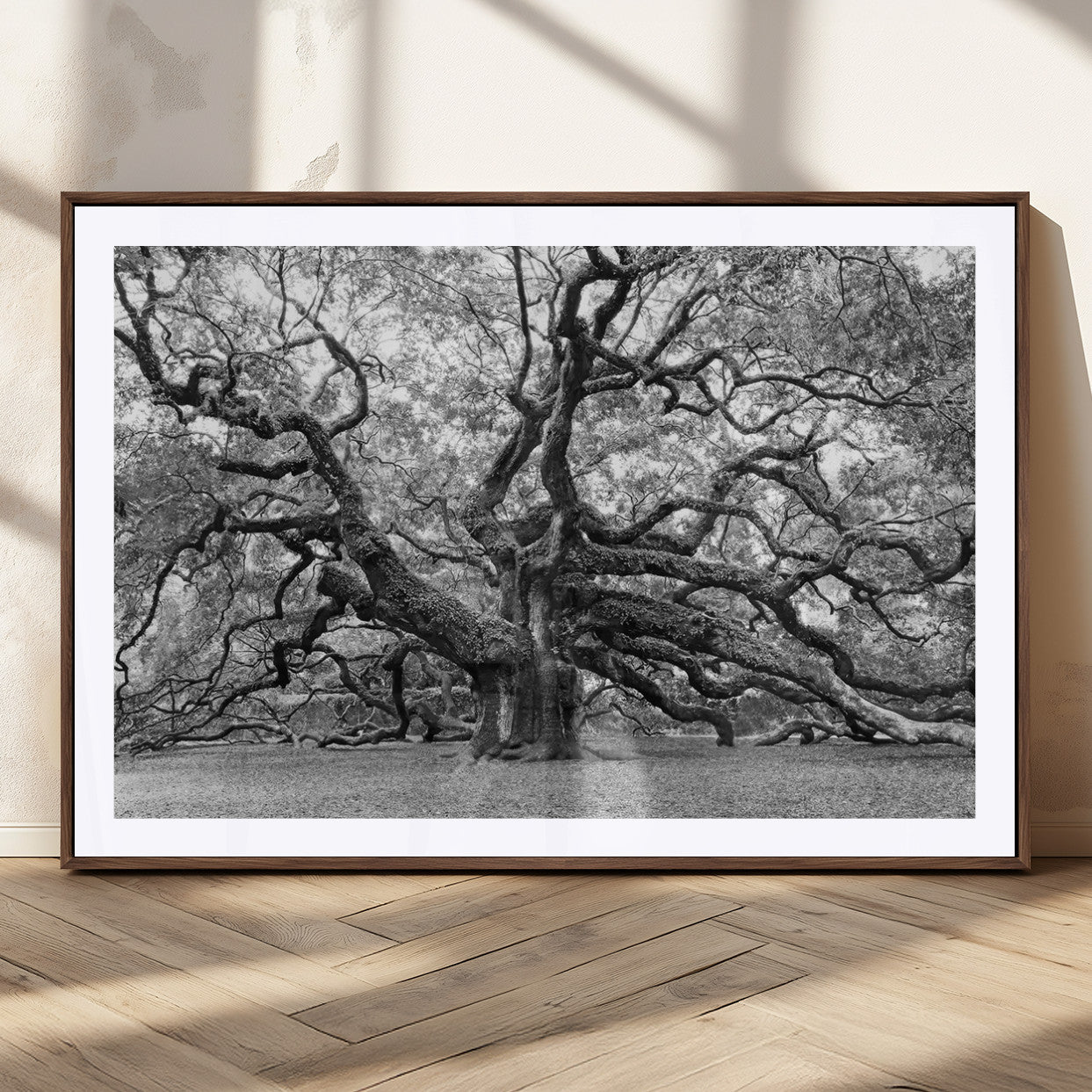 MGC-FP-36x24 - Black White Angel Oak Tree Wall Art - Timeless Nature-Inspired Canvas for Rustic, Modern, or