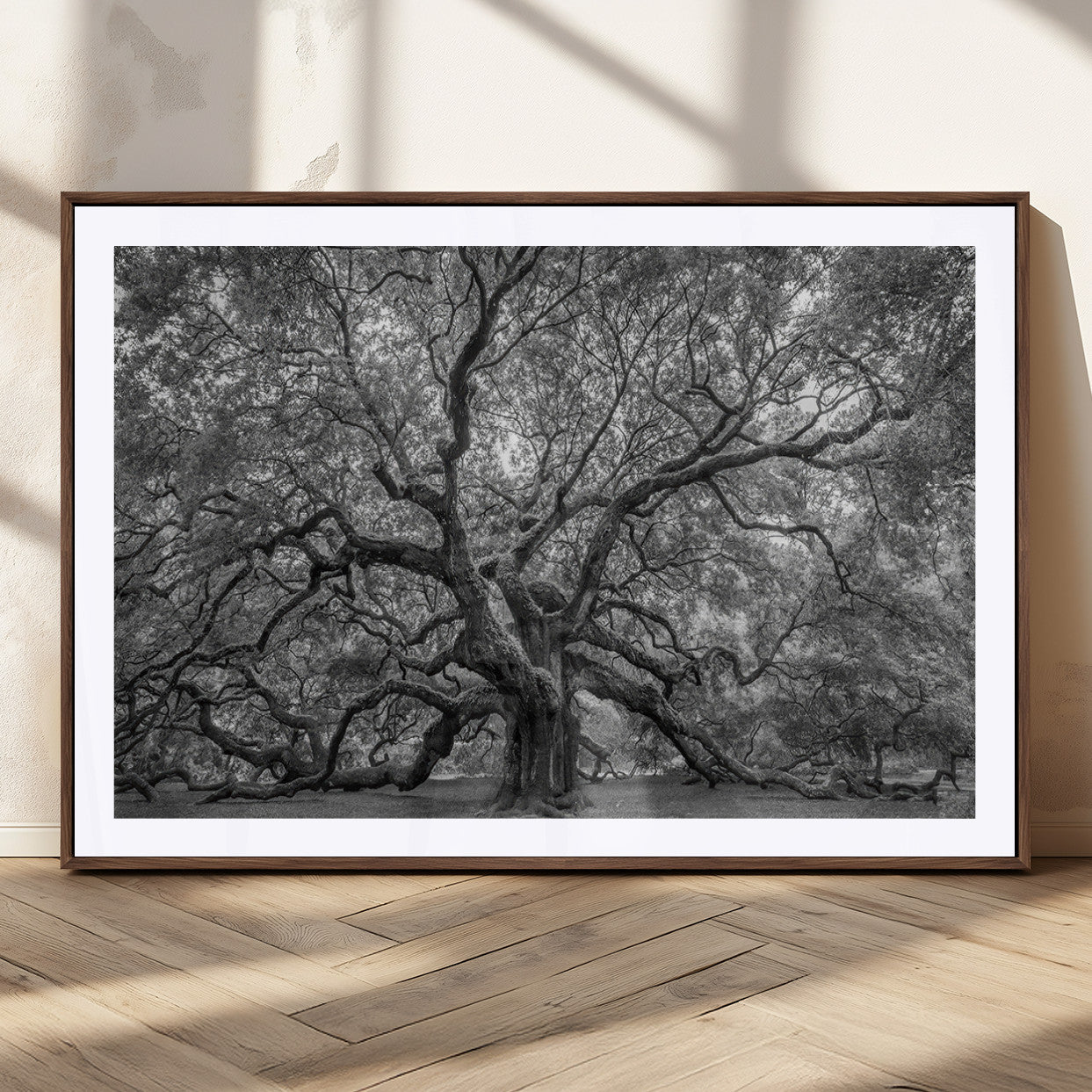 97240-MGC-FP-36x24_Walnut-Majestic Angel Oak Tree Black and White Canvas Print – Multi Panel Wall Art, Giclée Print, Ready to