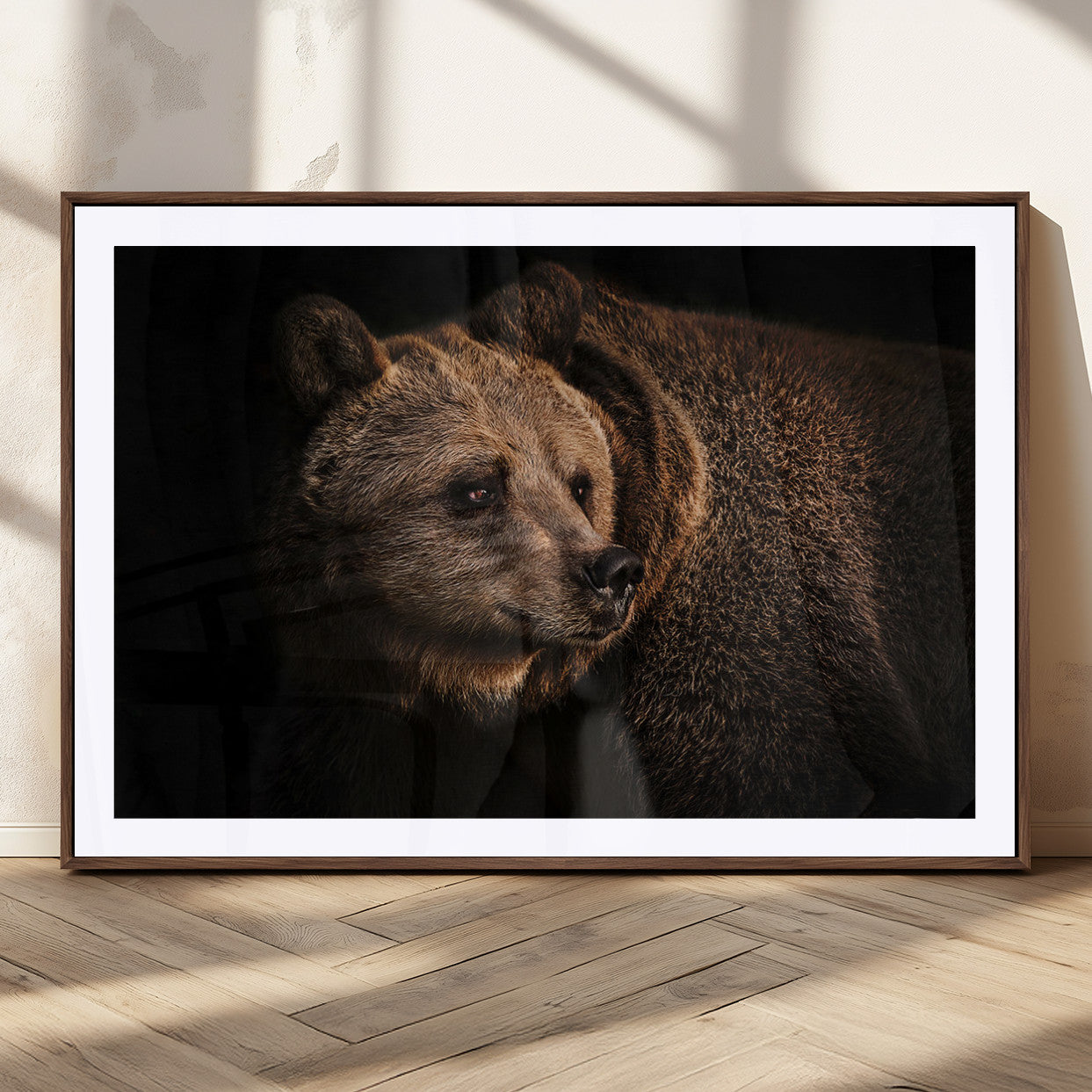 MGC-FP-36x24 - Wild Grizzly 399 Bear Canvas Wall Art Print, Bear Animal Canvas Artwork Print, Black Bear Wall Art