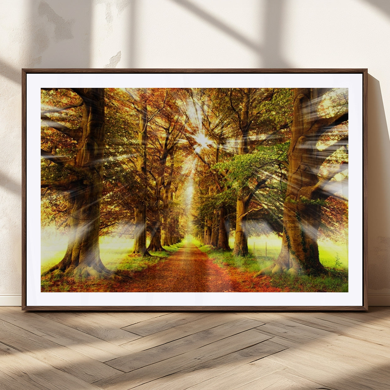 50243-MGC-FP-36x24_Walnut-Sunshine in Forest and Trees Wall Art Canvas Print
