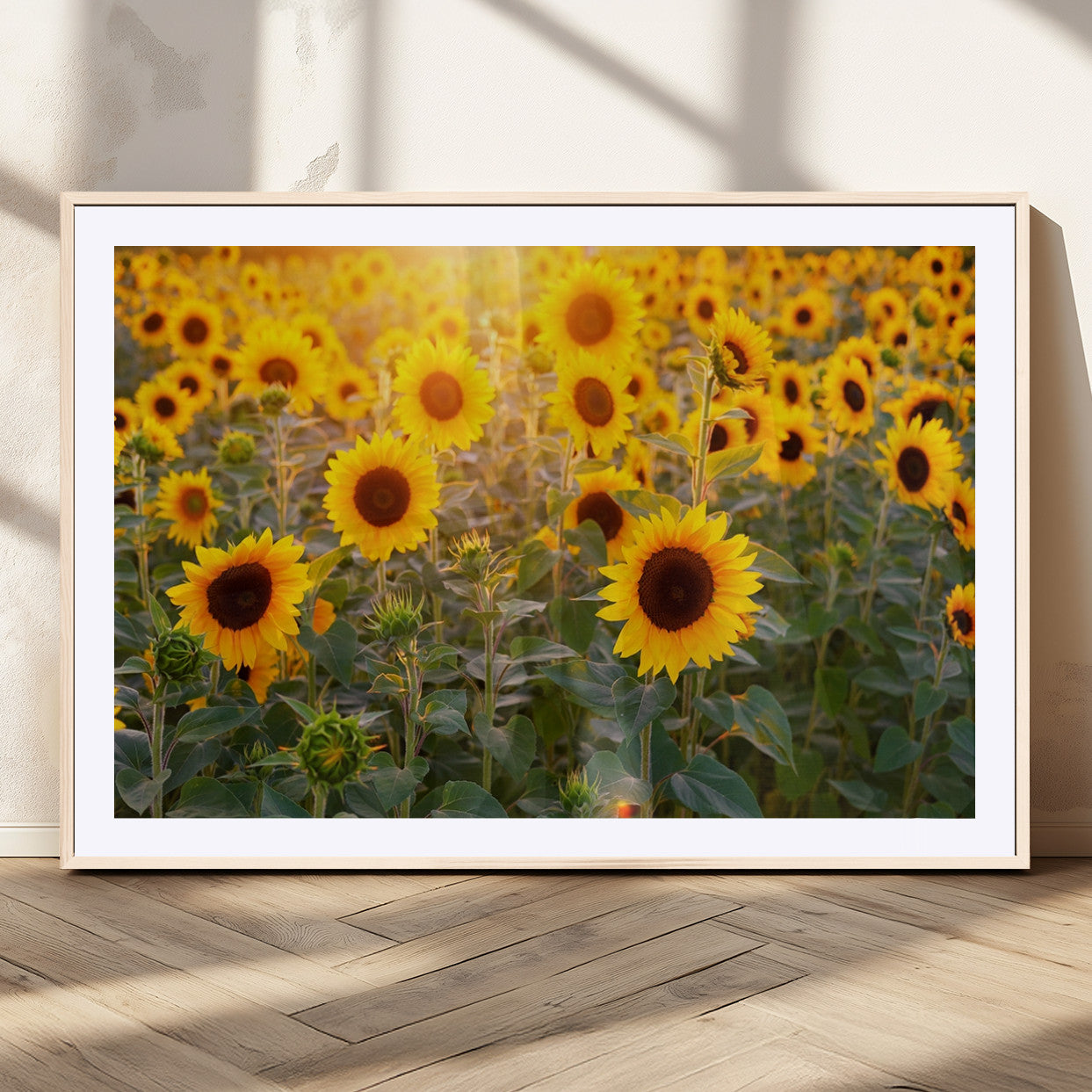 MGC-FP-36x24 - Sunflower Sunshine Wall Art Canvas Print