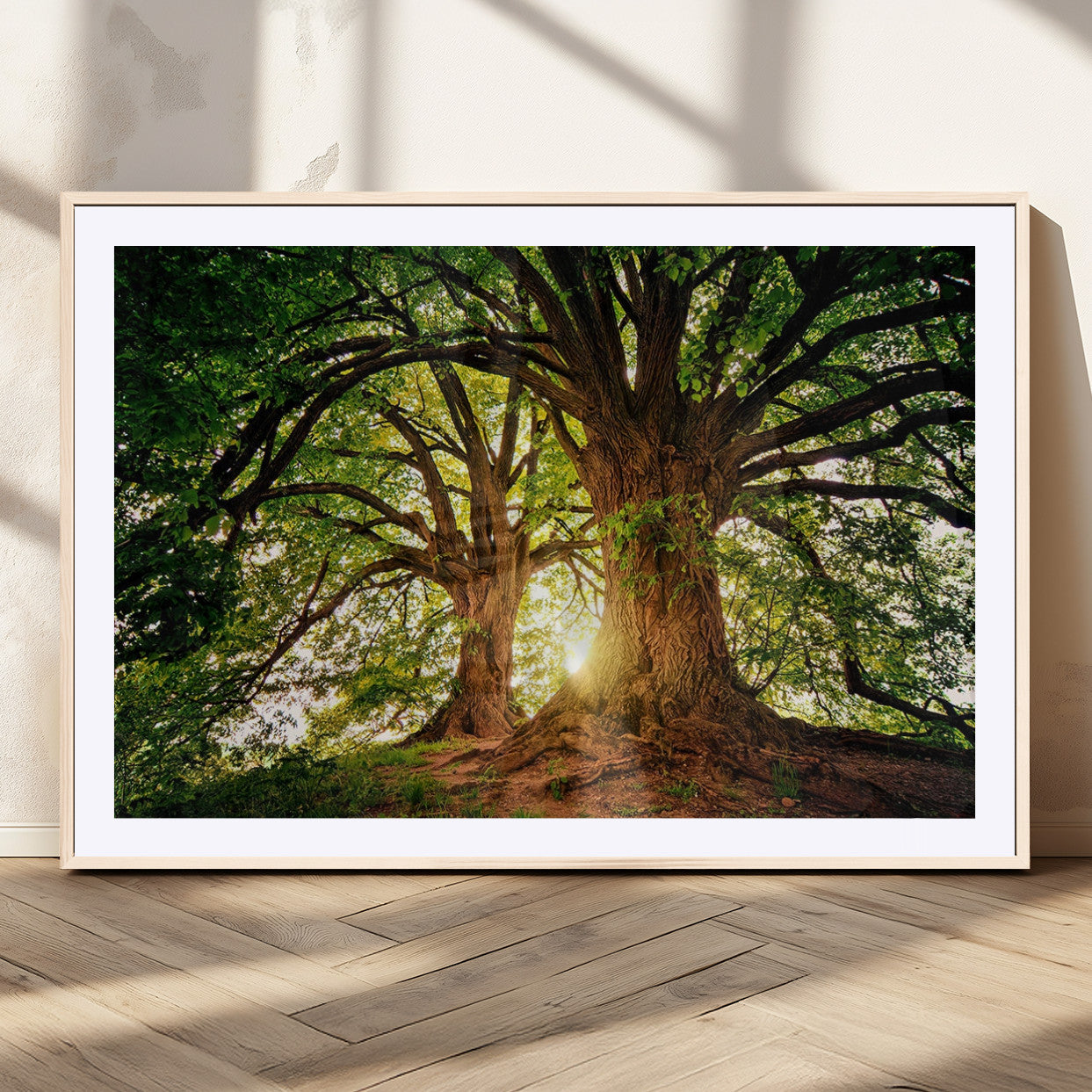 MGC-FP-36x24 - Majestic Ancient Tree Wall Art, NatureCanvas Print, Woodland Art, Tree of Life Artwork, Sunlit
