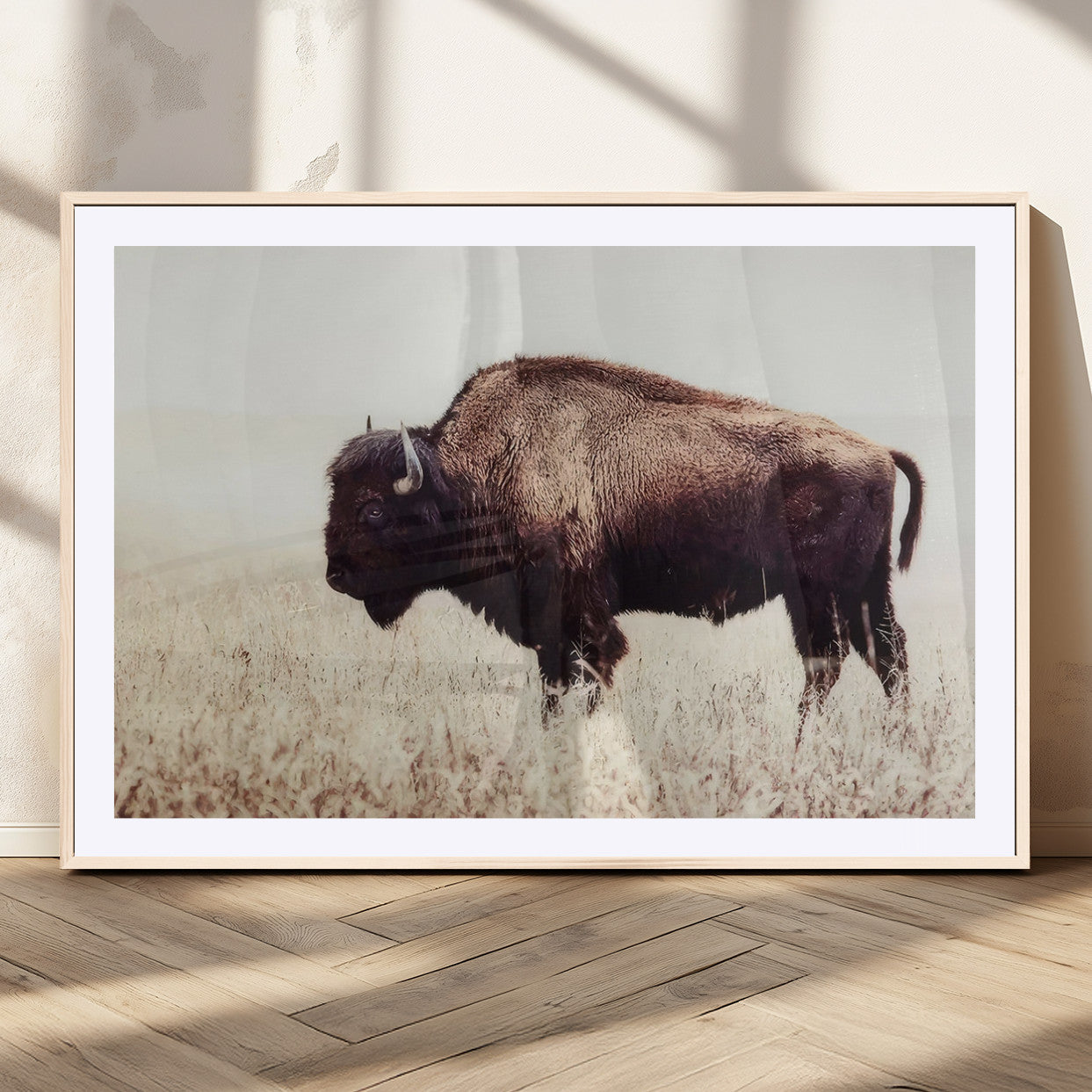 MGC-FP-36x24 - Bison in Field Wall Art Canvas Print For Farmhouse Barn Decor