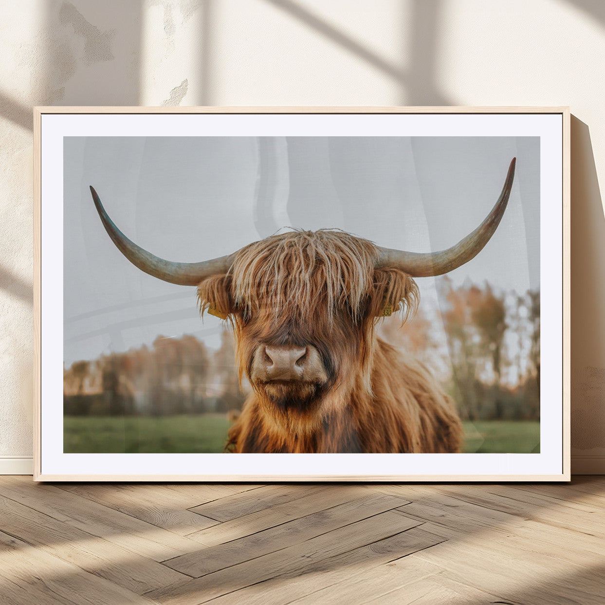 MGC-FP-36x24 - Highland Cow Animal Scottish Cattle Art Print Farmhouse Wall Art Canvas Print