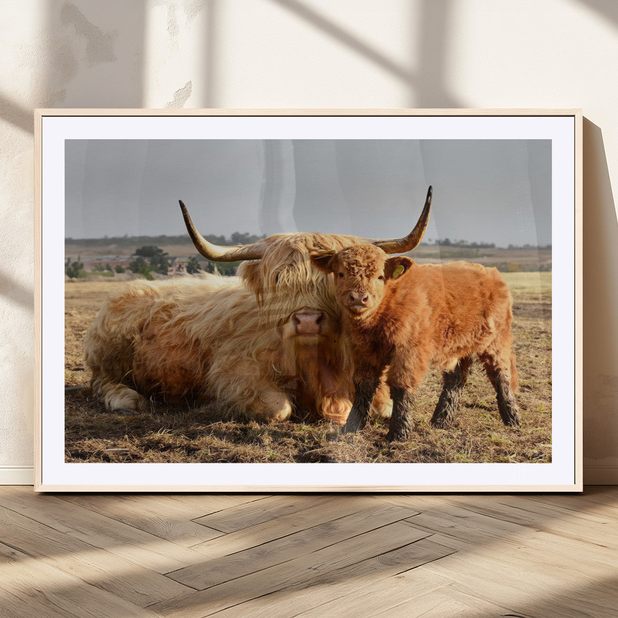 MGC-FP-36x24 - Highland Cow Canvas Wall Art Animal Print for Farm House Decor