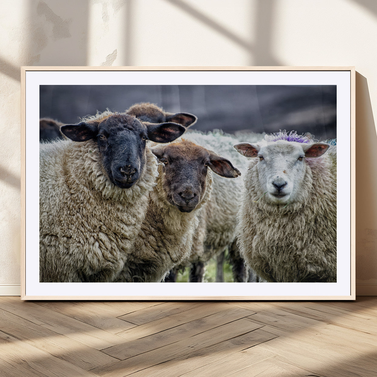 -Charming Sheep Portrait Wall Art – Trio of Woolly Companions Canvas Print, Framed, Ready to Hang
