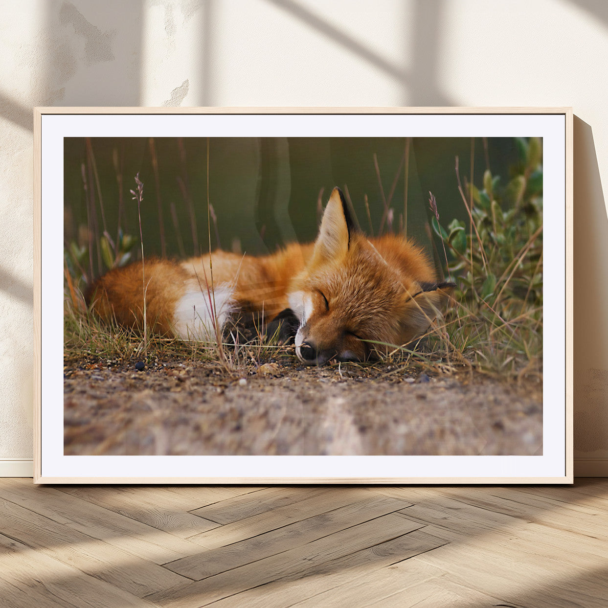 -Sleeping Fox Wall Art Canvas Print, Farmhouse Wall Decor and Animal Wall Art Print
