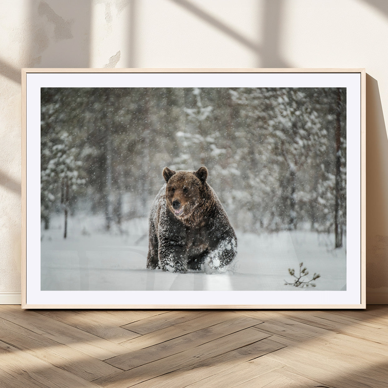 MGC-FP-36x24 - Wall Art Canvas Print – Grizzly Bear in Snowy Forest Powerful Presence Snowy Wilderness Wild Beauty