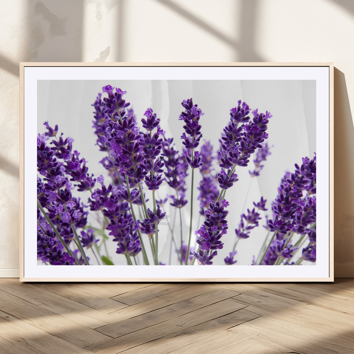 MGC-FP-36x24 - Lavender Flower Wall Art Canvas Print