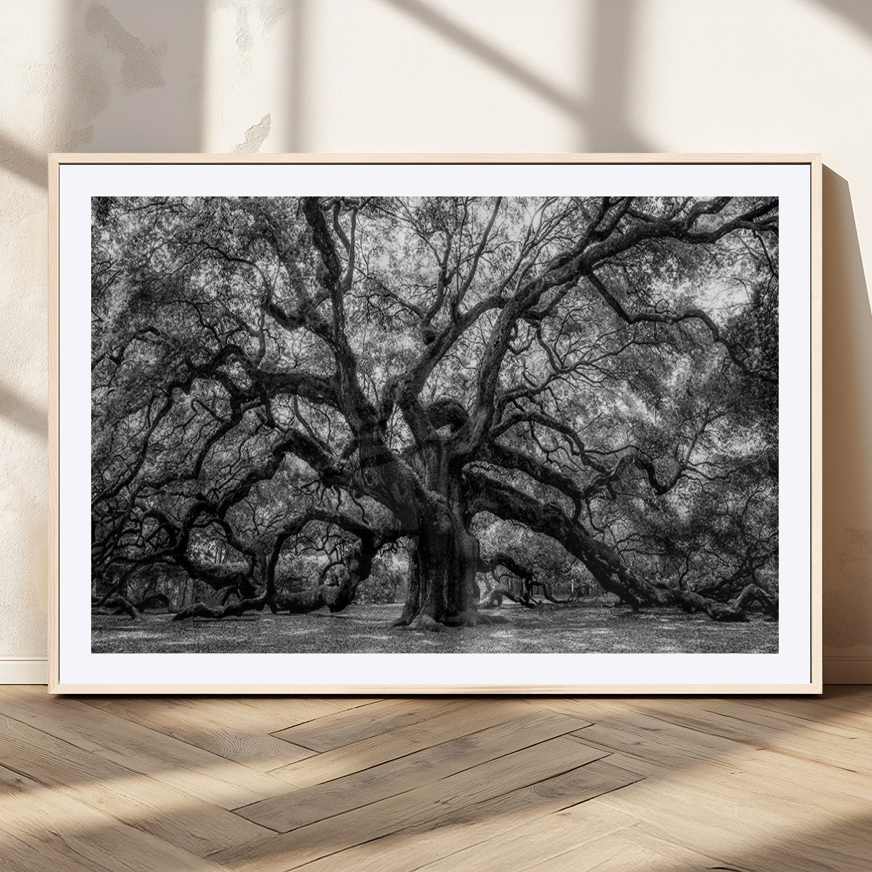 MGC-FP-36x24 - Black and White Old Angel Oak Tree Wall Art Canvas Print