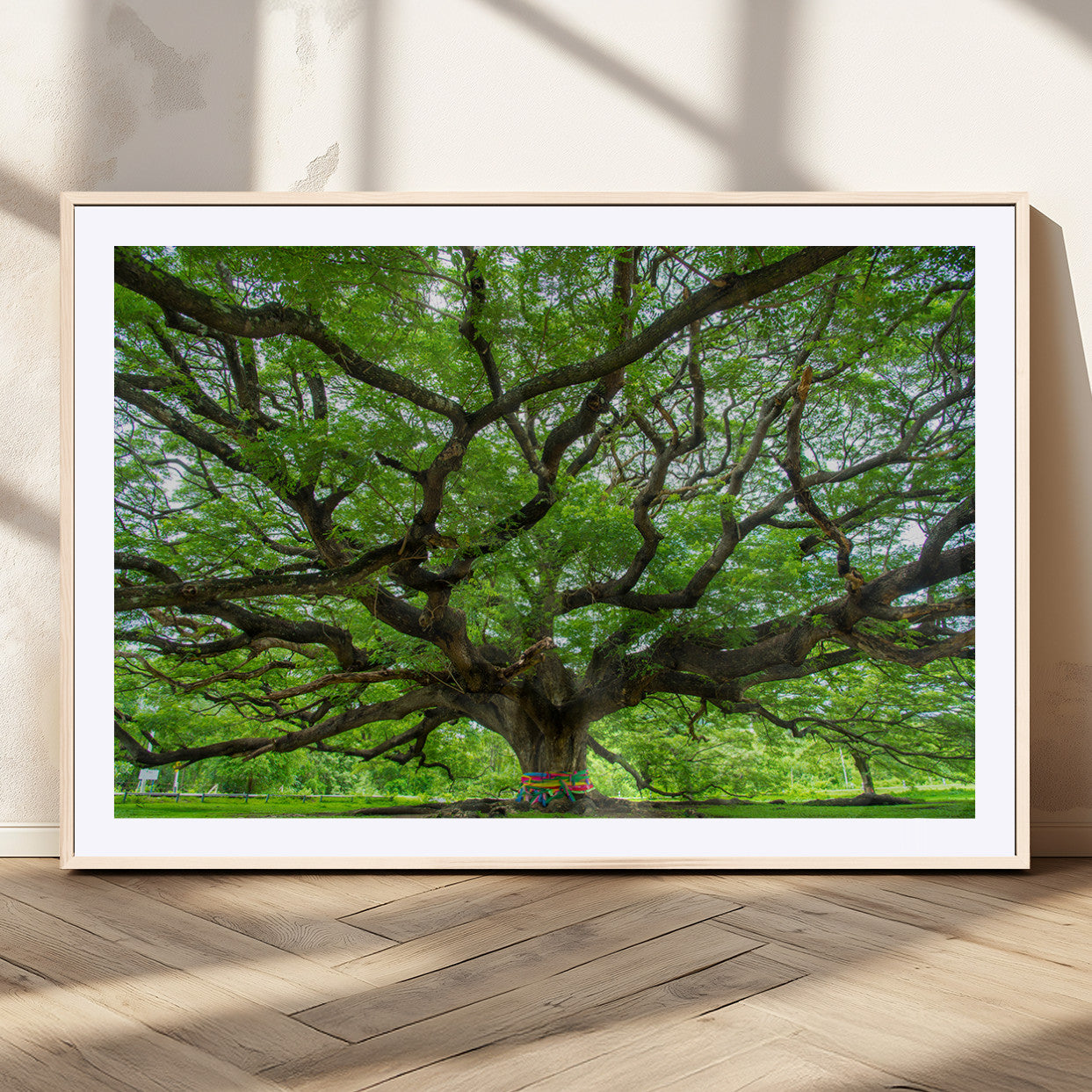 MGC-FP-36x24 - Oak Tree Wall Art Print, Forest Canvas Wall Art for Home and Office, Framed Angel Oak Tree Canvas