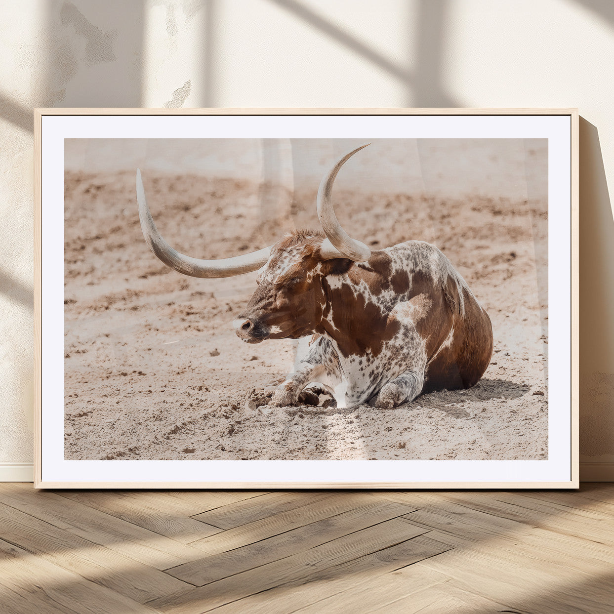 Texas Longhorn bull resting on dusty ground with warm tones, ideal for rustic western or farmhouse-themed wall decor.