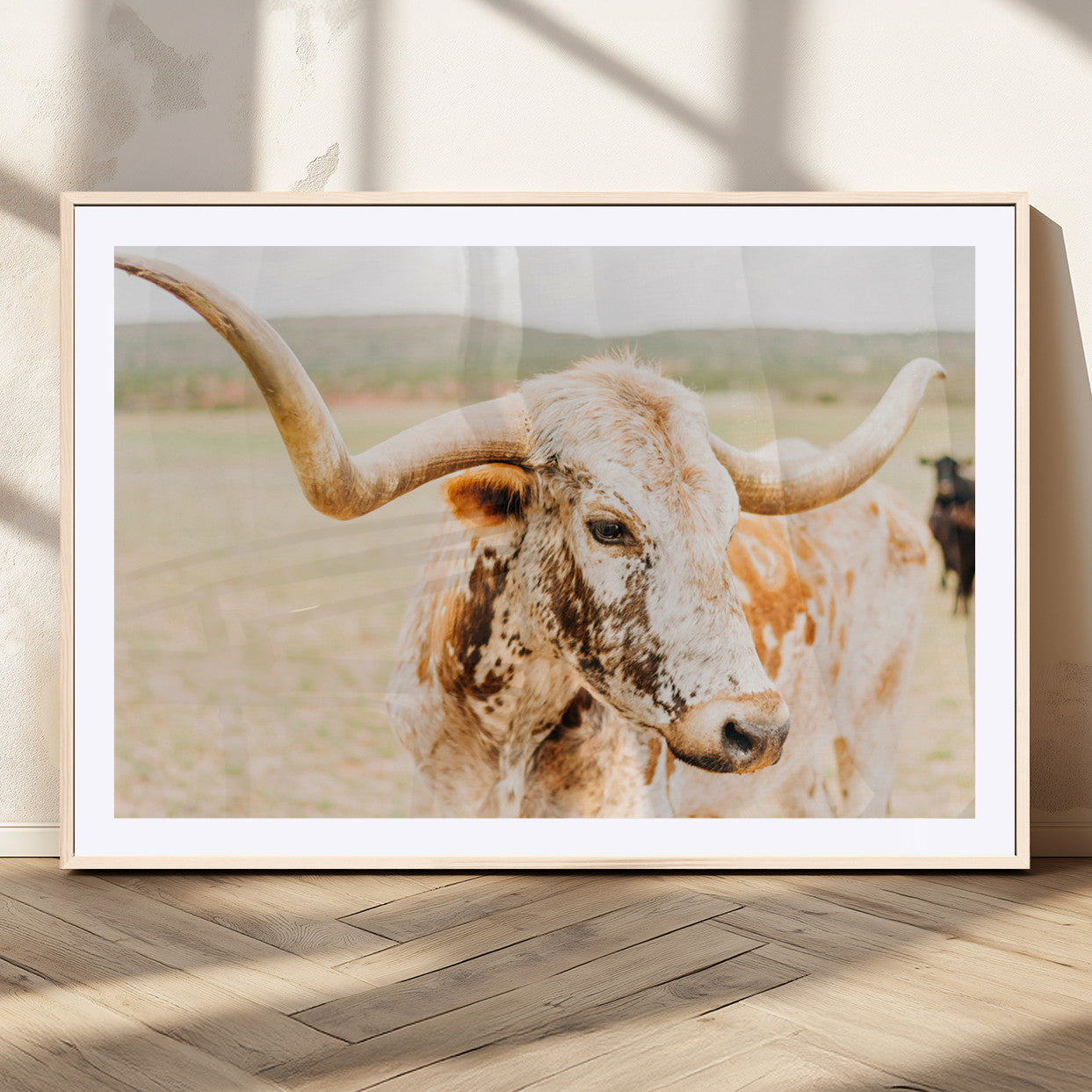 Close-up of a speckled Texas Longhorn in warm prairie tones, perfect for rustic western or countryside-themed room decor.