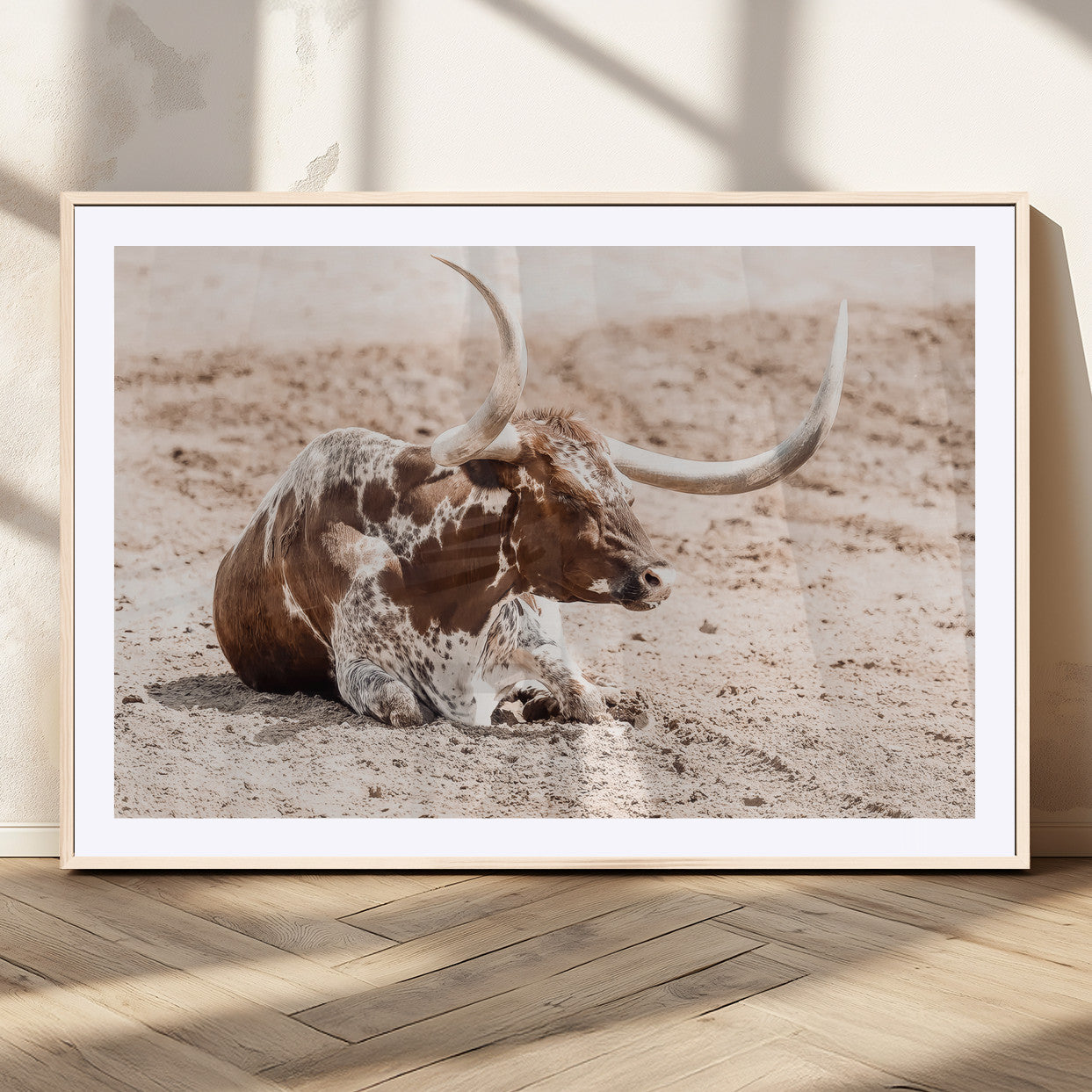 Texas Longhorn bull resting on dusty ground with warm tones, ideal for rustic western or farmhouse-themed wall decor.