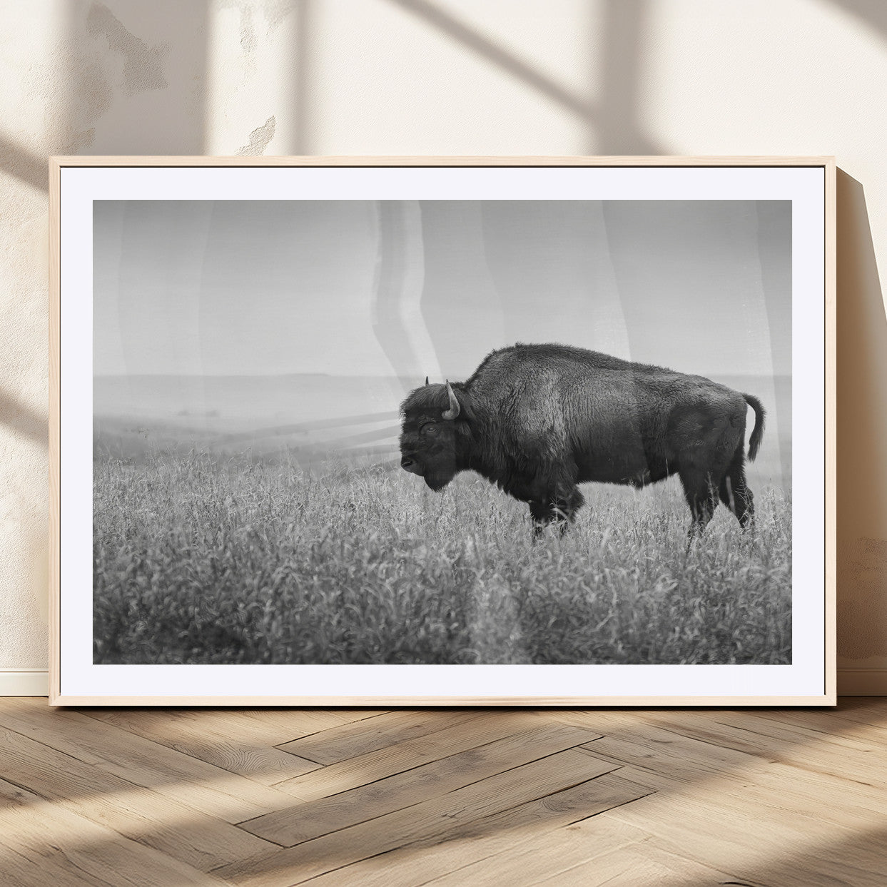 A black and white photograph of a majestic bison standing in a vast grassy prairie, evoking a sense of wilderness and strength.