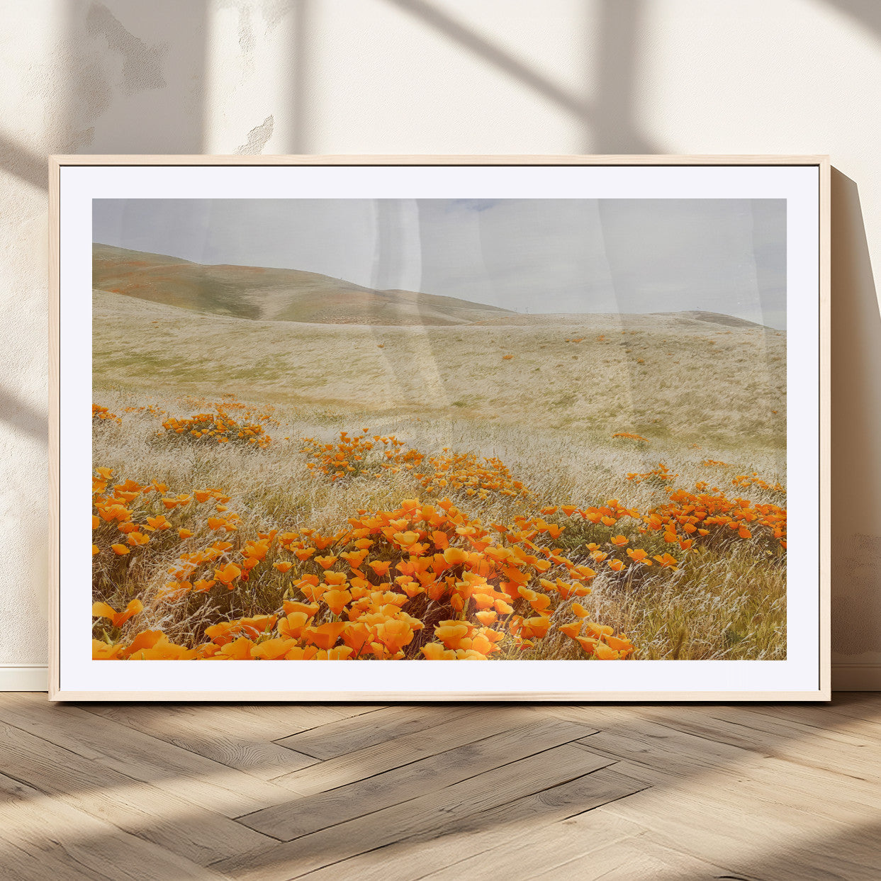 A golden field with vibrant orange poppies blooming across rolling hills under a soft, sunlit sky, creating a warm and rustic landscape.