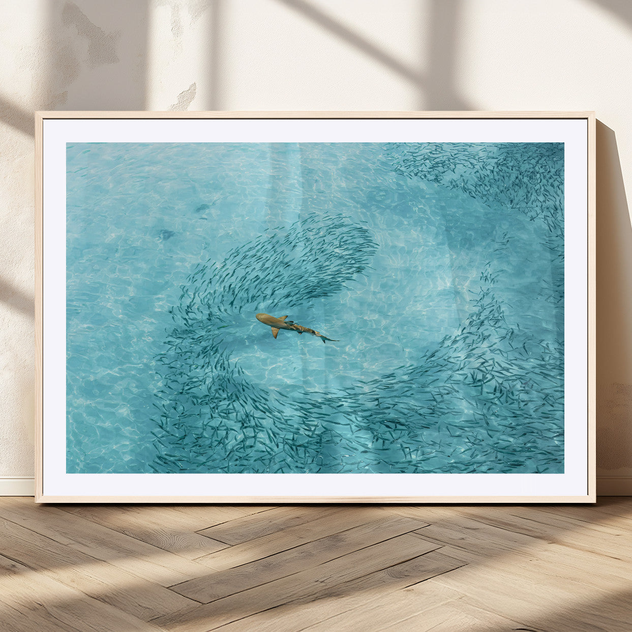 Aerial view of a shark swimming through a swirl of fish in clear turquoise waters, perfect for calm coastal or beach house decor.