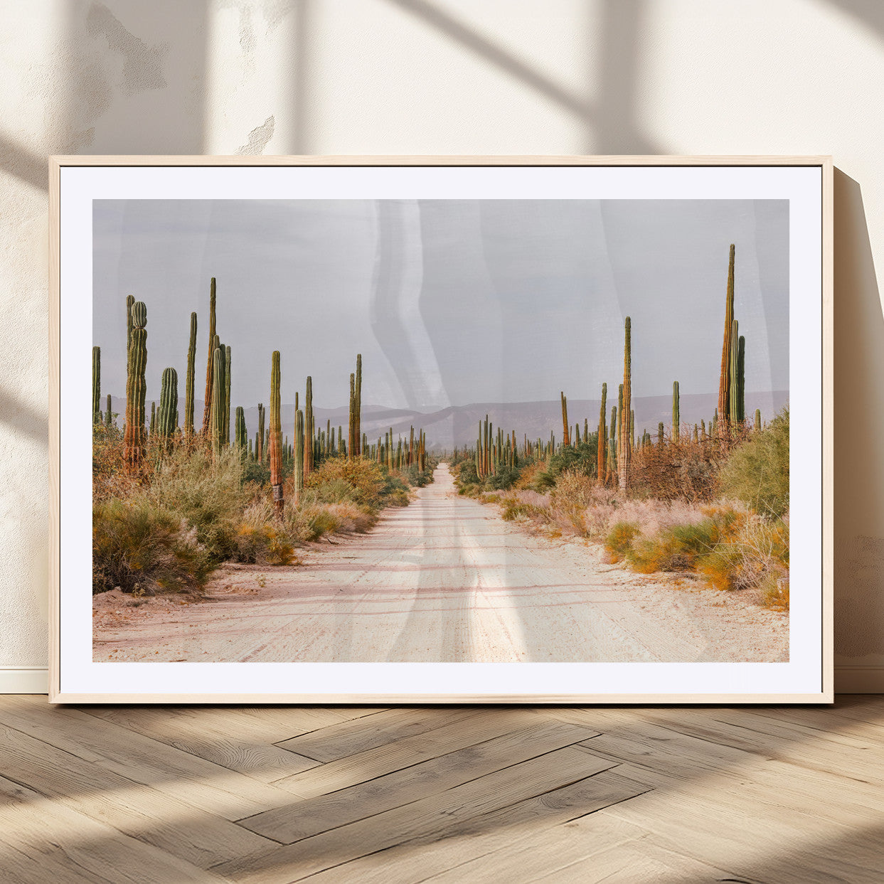 A desert road lined with saguaro cacti under a golden sky, creating a warm southwestern feel, perfect for boho or rustic decor.