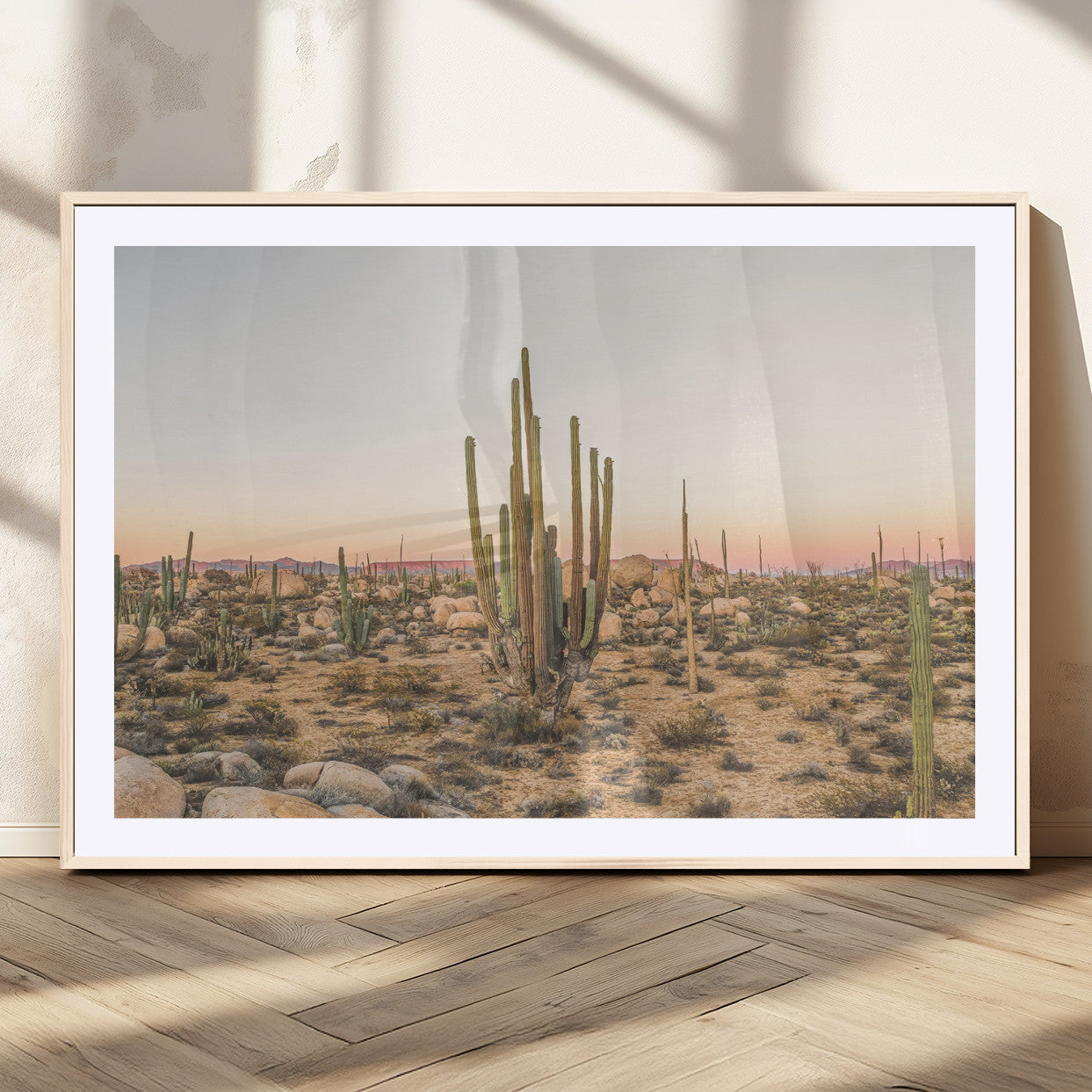 Canvas of tall desert cacti in warm sunset tones over a rocky Baja landscape, ideal for earthy or Southwestern-style home decor.