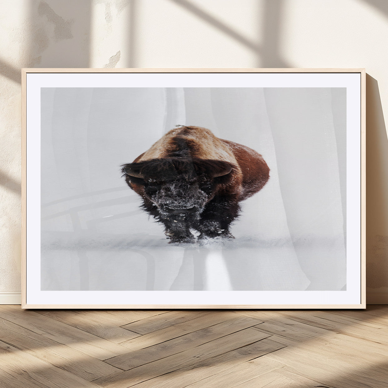 Front view of a strong bison walking in deep snow, isolated white background, perfect for rustic or lodge-style home decor.