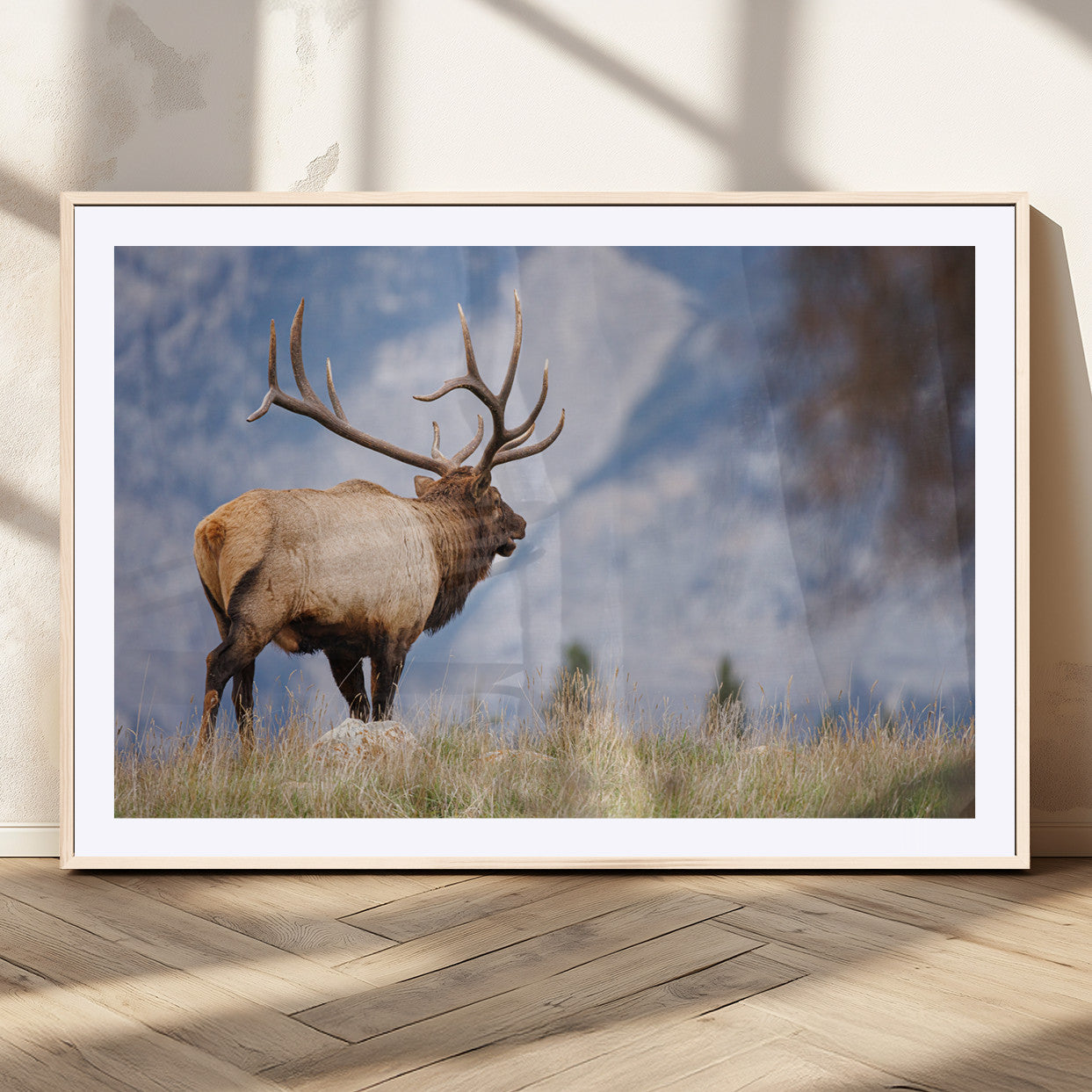 Elk with antlers standing on grass with mountain background, ideal for rustic, cabin, or lodge-inspired wall decor.