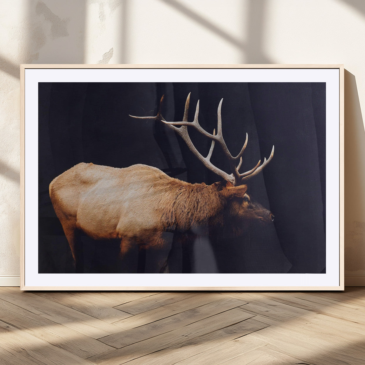 Side profile of an elk with large antlers on dark background, creating a bold rustic statement for cabin or Western-themed decor.