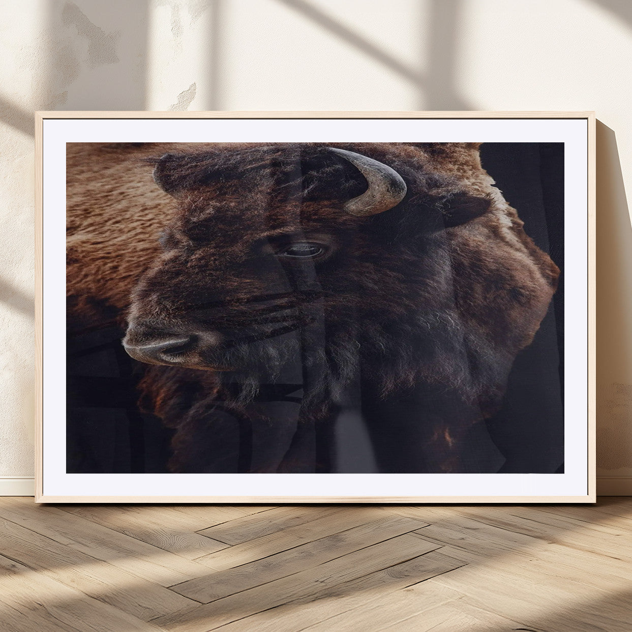 Close-up portrait of a bison with dark fur on a black background, perfect for rustic, lodge, or Western-style interior wall decor.