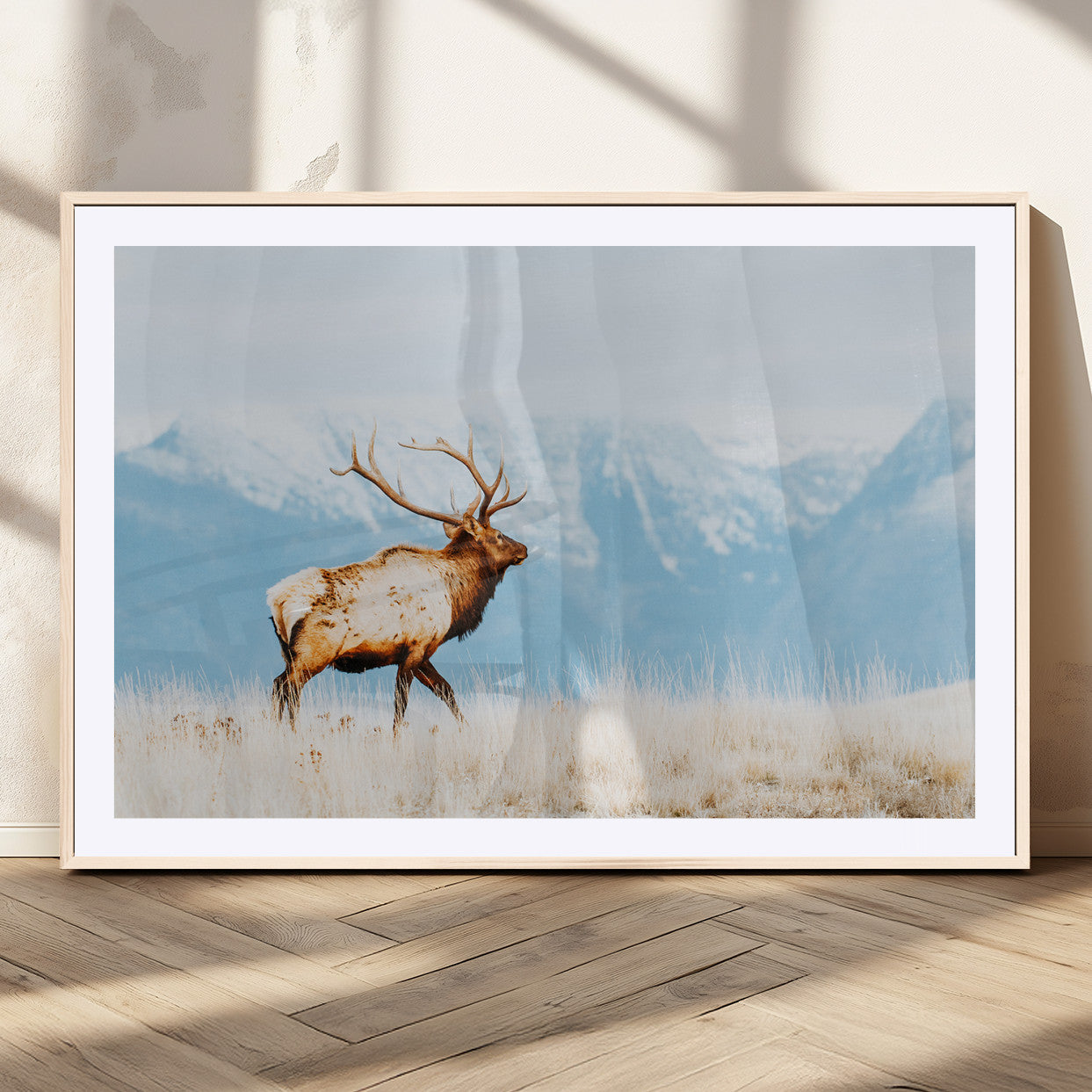 Majestic elk standing on dry grassland with snowy mountains in the background, ideal for rustic or lodge-inspired wall decor.