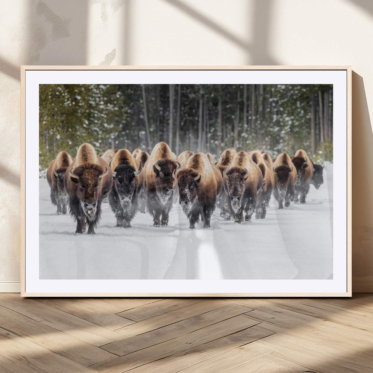 A herd of American bisons walking through a snowy forest path, perfect for rustic cabin or Western-themed wall decor.