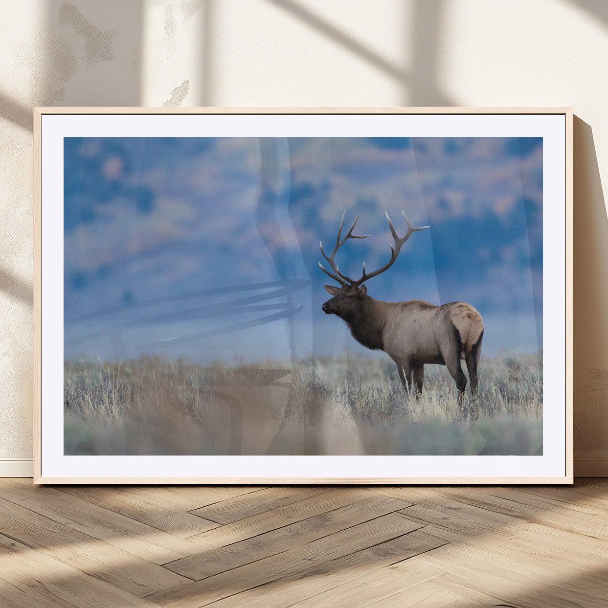 Elk with large antlers standing in open field, mountains blurred in background, perfect for rustic cabin or lodge-style decor.