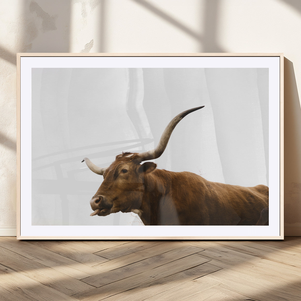 Minimal photo of a longhorn cow with white background, ideal for rustic, western or farmhouse-style interior decor.