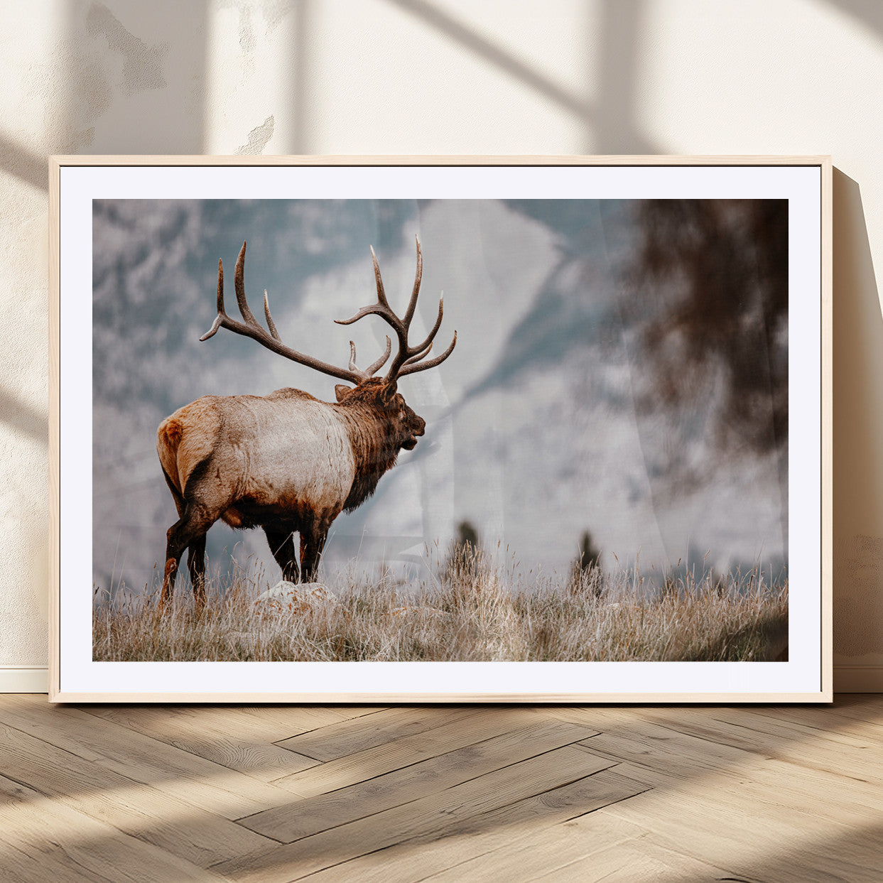 Majestic elk with large antlers standing in grass with snowy mountains in background, perfect for rustic cabin or lodge style decor.