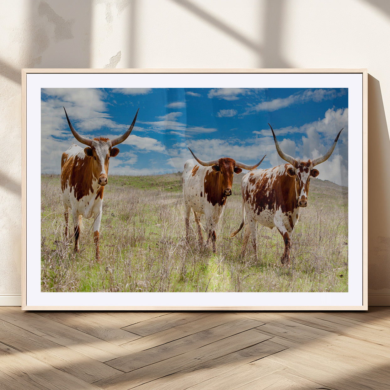 Three Texas longhorn cattle standing in dry grass under a bright blue sky, ideal for farmhouse or western rustic home decor.