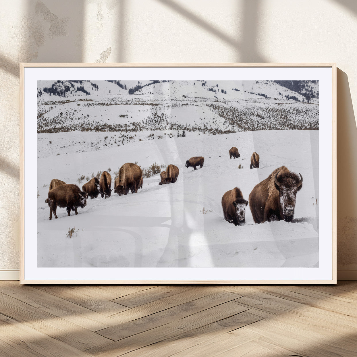 A herd of bison walking through deep snow in a mountain valley, perfect for rustic, cabin or western-themed wall decor.
