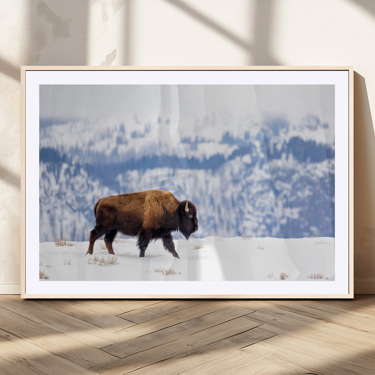 A lone bison walks across snowy ground with blue-toned mountain range behind, ideal for rustic or western farmhouse interiors.