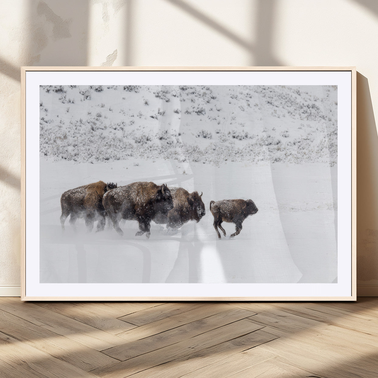 Bison herd running through a snowy open field with mountain backdrop, perfect for rustic or western-themed wall decoration.